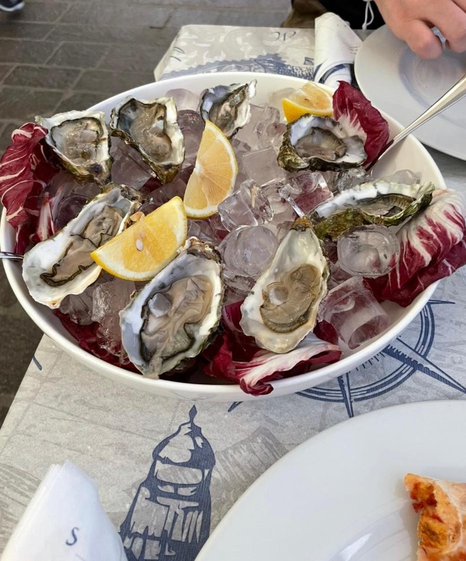 Chez Amali - Stielvolle Ferienwohnung In Der Provence Mit Terrasse Brignoles Ngoại thất bức ảnh